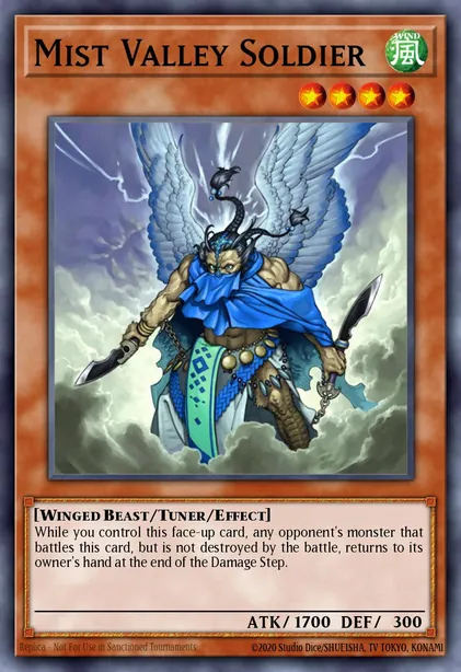 Mist Valley Soldier