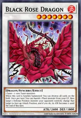 Black Rose Dragon