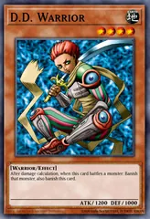 D.D. Warrior