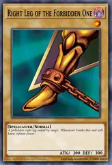 Right Leg of the Forbidden One