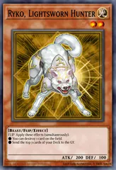 Ryko, Lightsworn Hunter
