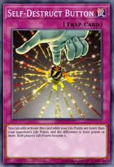 Self-Destruct Button