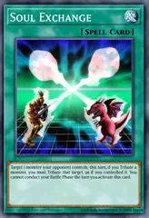Soul Exchange