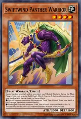 Swiftwind Panther Warrior