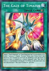 The Gaze of Timaeus